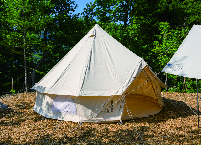 テント小